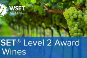 Kurz WSET Level 2 Award in Wines