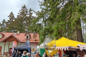 Radyňské slavnosti vína