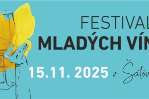 Festival mladých vín