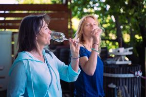 K Nechorám do sklepa