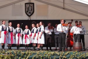 Šlapání hroznů dívčí nohou