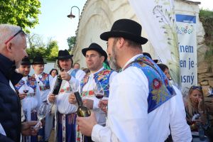 Otevřené sklepy Vinařů Strážnicka