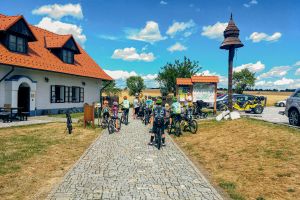 Husí hody a mladá vína