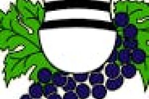 Výstava vín Dambořice