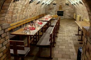 Husí a kachní hody s ochutnávkou mladých vín ročníku 2026