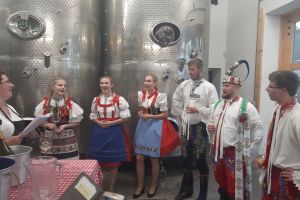 VÍNOBRANÍ ve vinařství Vican