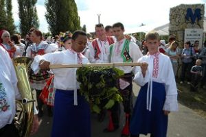 Novosedelské sklepy open