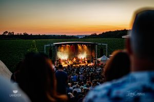Hudba na vinicích v LAHOFERu