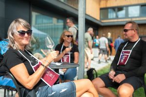 Otevřené sklepy Mikulčice