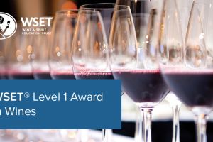 Kurz WSET Level 1 Awards in Wines