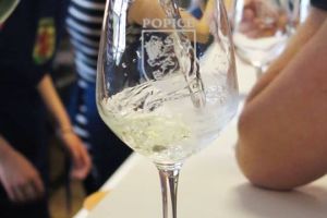 Místní výstava vín Popice