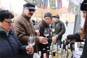 Svatomartinský přípitek