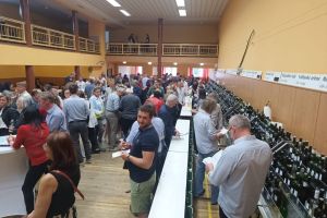 Velikonoční košt vín