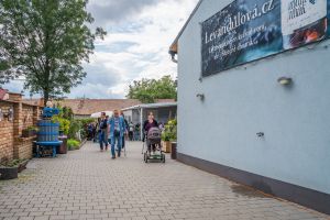 Umění, jídlo & víno, levandule