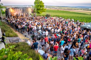 Hudba na vinicích: David Koller – Chateau Mělník