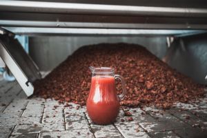 Vinobraní a posezení u burčáku, Čejkovice