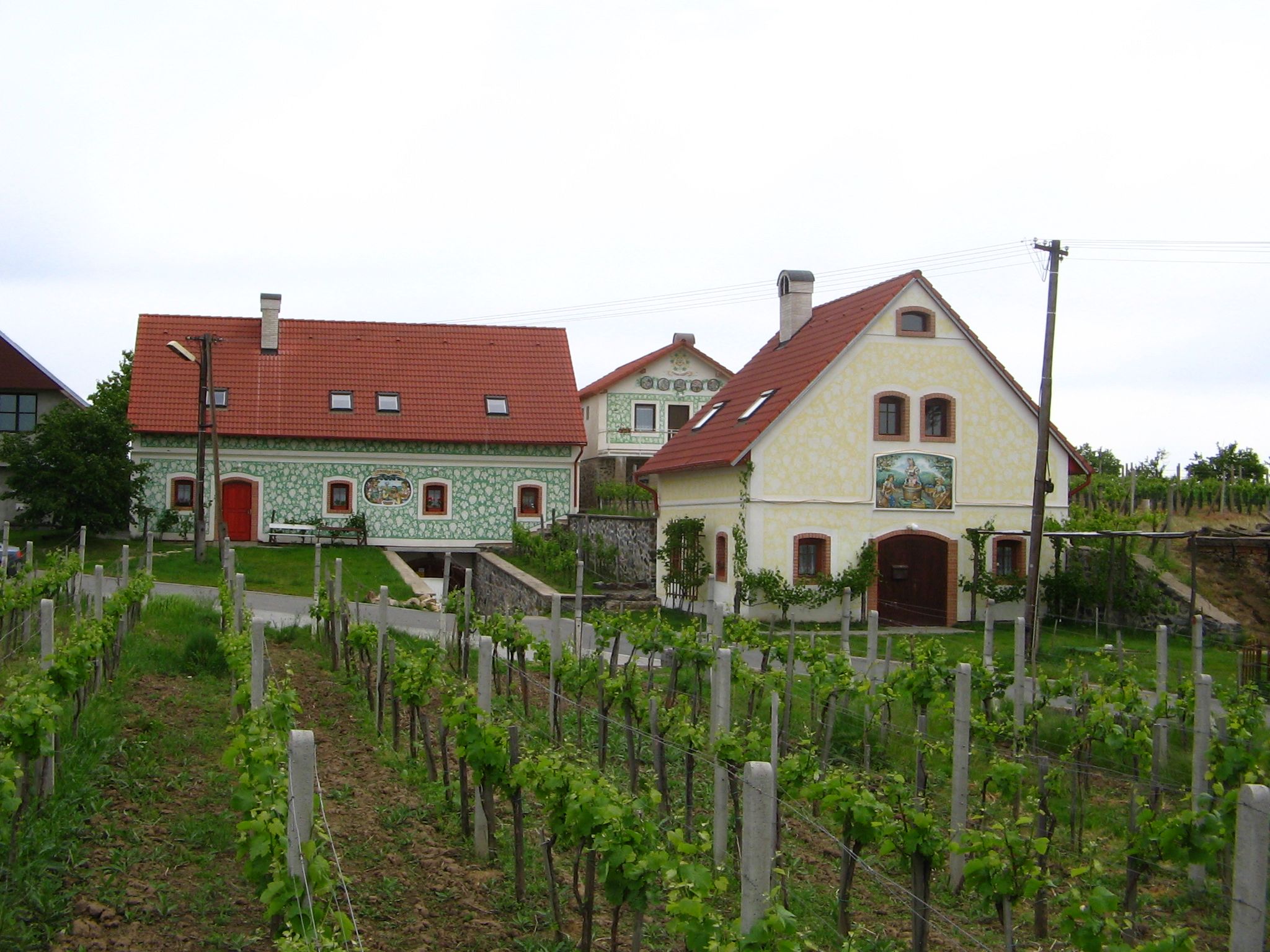 Markovy vinné sklepy, Vinařství Jan Marek