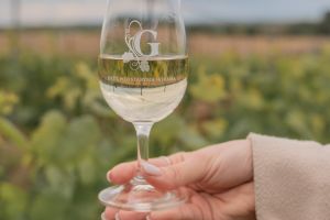 Putování boršickými vinohrady