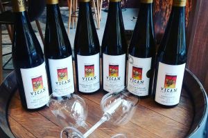 Degustační program Bobule