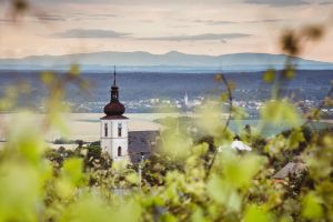 Otevřený sklep – Vinařství Hanuš, Kutná Hora