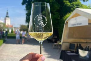 NOS – Mikulovští vinaři v zámecké zahradě