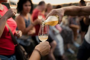 Znojmo v barvách podzimu a chuti vína – prohlídka města