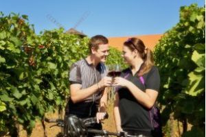 Košt vín bukovanských vinařů