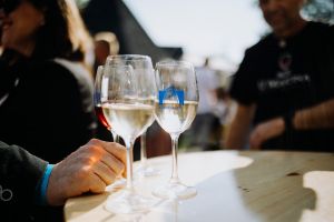 Velikonoční pochůzková výstava vín