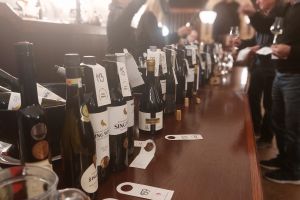 GASTRO – víno, které chutná Brnu
