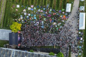 Hudba na vinicích: Olympic – Vinařství Sonberk