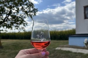 Přes pole a vinohrady kolem boží muky