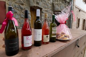 Moravská v růžovém