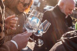 Svatý Martin v Šaldorfských sklepech