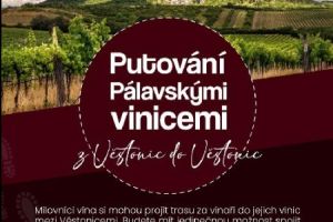 Putování Pálavskými vinicemi z Věstonic do Věstonic