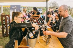 Hovoranskými vinohrady za vínem