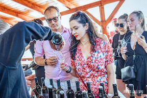 Festival Mezi Sklepy